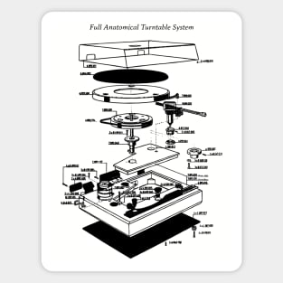 Turntable Anatomy Magnet